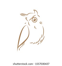 owl line photography logo vector with gold color