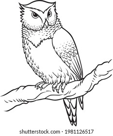 owl line vector illustration isolated on white background.animals top view