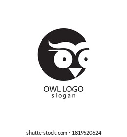 Owl logo design template vector illustration

