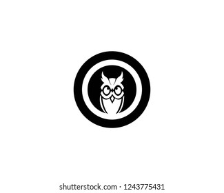 Owl Logo and symbol template