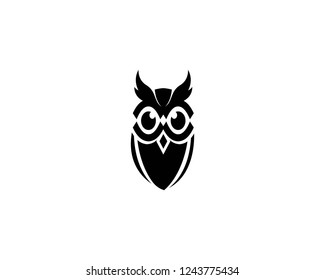 Owl Logo and symbol template