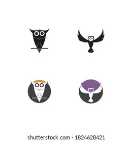 Owl logo template vector icon design