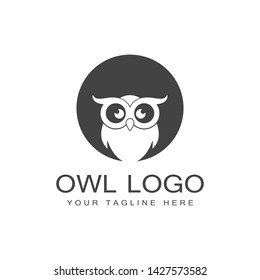 Owl logo template vector illustration
