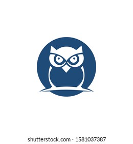 Owl logo vector in modern colorful logo design. Owl icon vector isolated on white background.	
