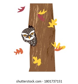 The owl looks out of a hollow. Vector illustration.