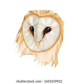 owl lowpoly vector illustration bird night