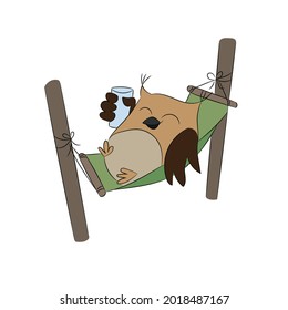 An owl is lying in a hammock and drinking water