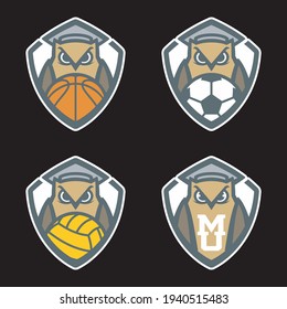 Owl mascot logo design vector with modern illustration concept style for badge, emblem and tshirt printing. angry owl illustration for sport team.