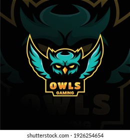 Owl Mascot Logo Esport Logo Team stock images