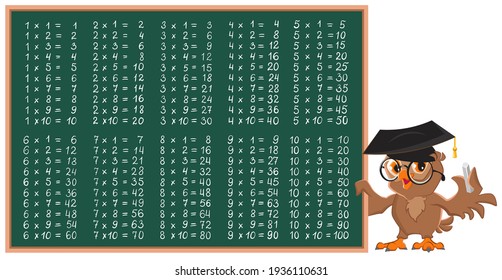 Owl math teacher showing multiplication table on chalkboard. Vector cartoon illustration isolated on white