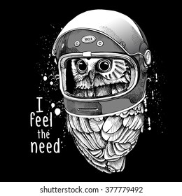Owl in a modern racer helmet. Vector illustration.