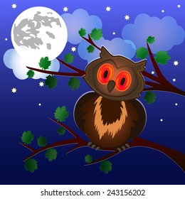 owl, moon and night