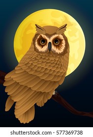 owl and moon night graphic vector