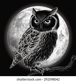 Owl And Moon At Night. Vector Illustration.