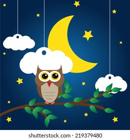 Owl and moon, nocturnal sky. Vector illustration