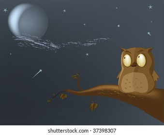 owl the moon a tree night