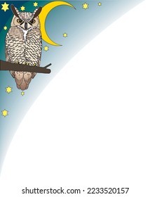 Owl in Moonlight Border Vector Illustration