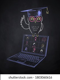 Owl in mortarboard sitting on laptop with live conference. Vector color chalk drawn illustration of online education concept on black chalkboard background.