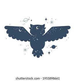 owl mystic astrology isolated style