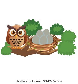 Owl and nest with eggs on white background. Vector illustration.