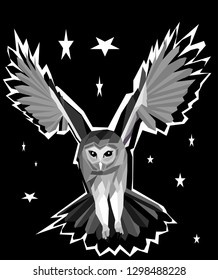 owl in night