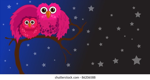 owl and night
