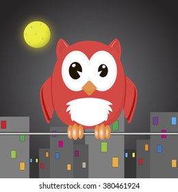 owl in the night city