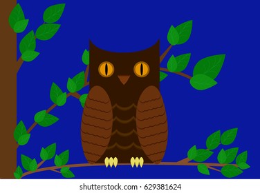 Owl at night on a branch vector illustration