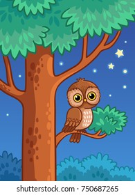 Owl at night sit on a tree branch. Vector illustration with a bird in cartoon style.