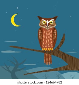 OWL at the night time.