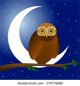 owl at night vector
