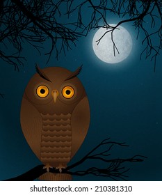 owl at night vector