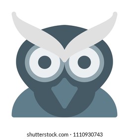 Owl with Night Vision