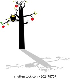 Owl on the apple tree
