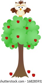 Owl on Apple Tree