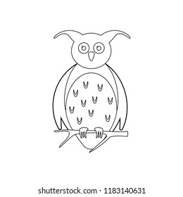 Owl on the branch