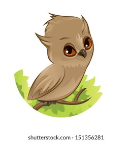 Owl on a branch