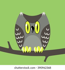 owl on a branch