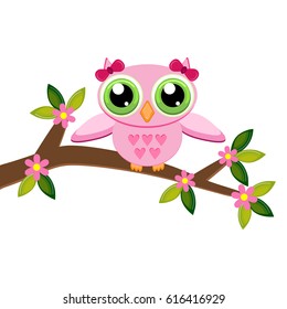 Owl on a branch