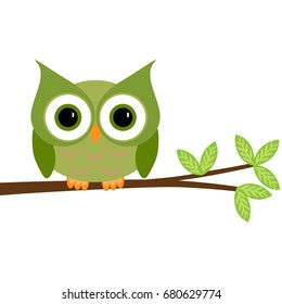 Owl on a branch