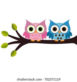 owl on a branch