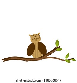 owl on a branch.  bird