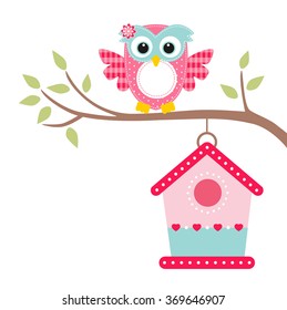 owl on a branch and bird house