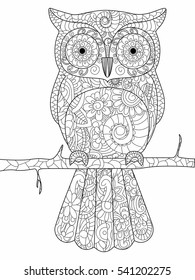 Owl on a branch coloring book for adults vector illustration. Anti-stress coloring for adult. Zentangle style bird. Black and white lines. Lace pattern
