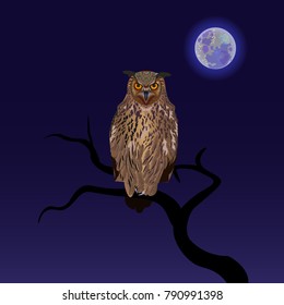 Owl on a branch with full moon background. Vector illustration.