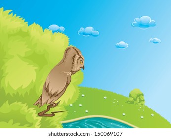 Owl on a branch gaze