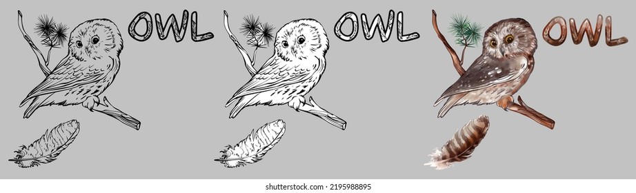 Owl on a branch linear, watercolor vector drawing. Linear black and white drawing without filling. Linear black-and-white drawing with fill. Watercolor color vector drawing for illustrations.