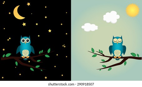 Owl on a branch.Day and night concept.Vector illustration.