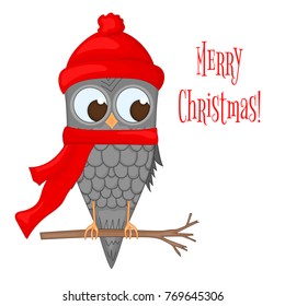 owl on the branch in the Santa Claus hat and scarf. postcard for the new year and Christmas. Isolated objects bird on white background. Template for text and congratulations