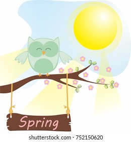 Owl on the branch of spring